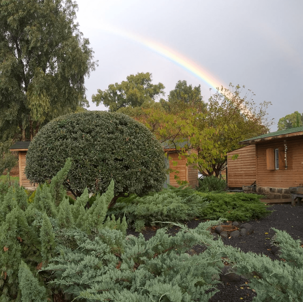 תמונה מהיקב