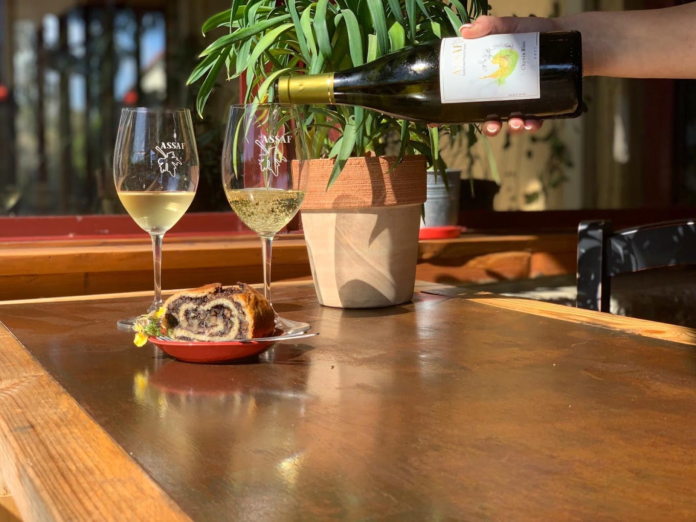 תמונה מהיקב