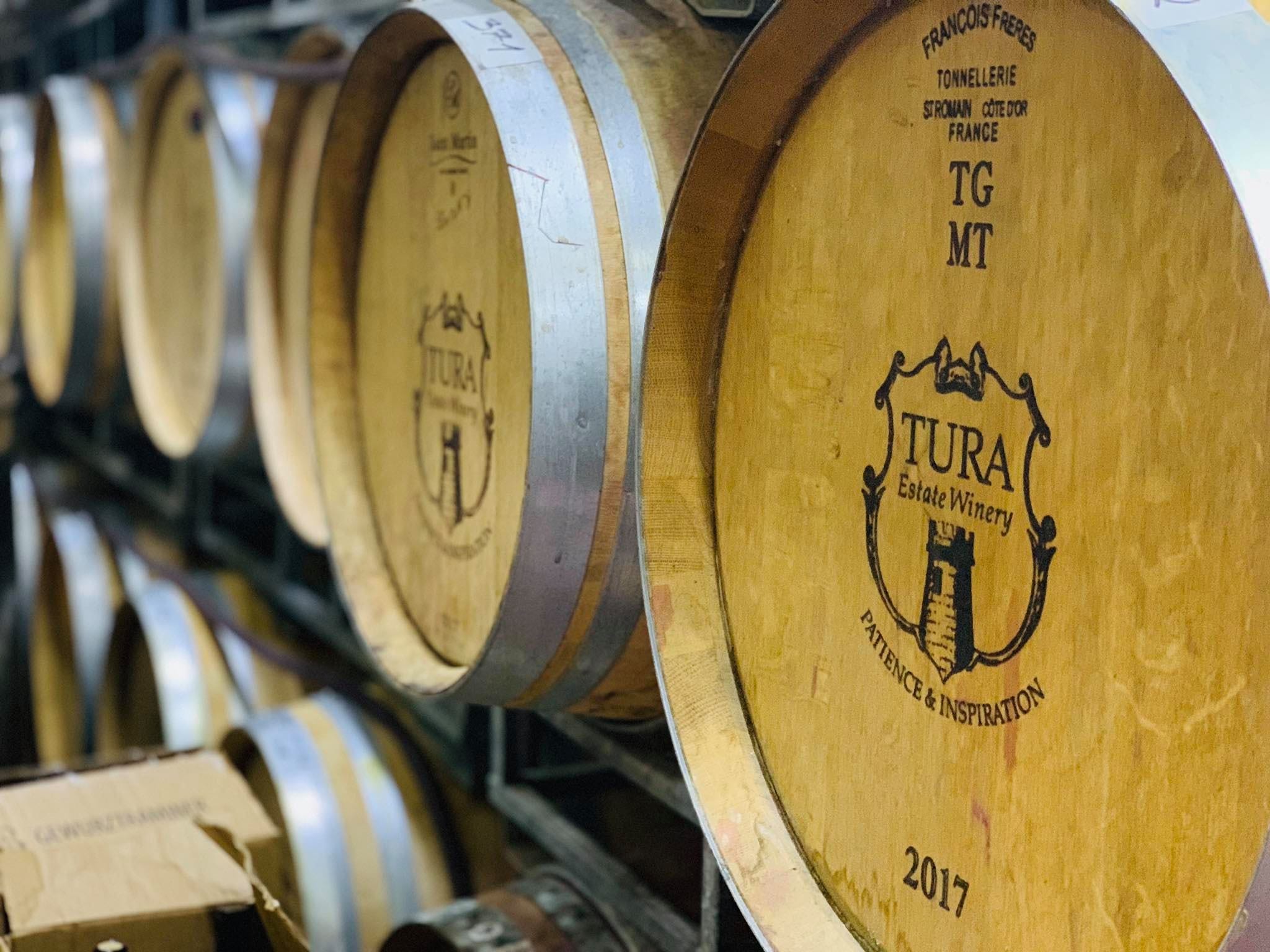 תמונה מהיקב