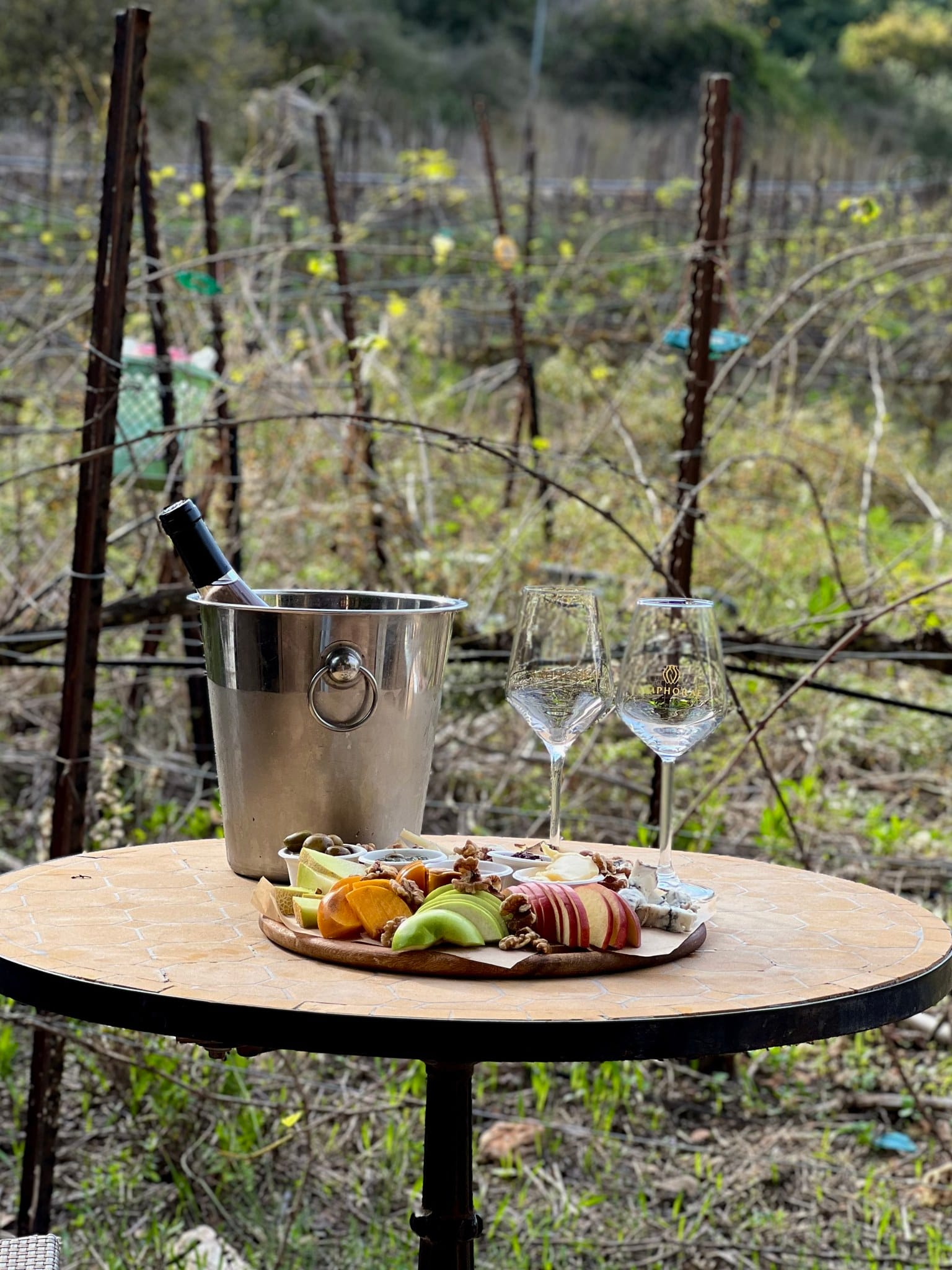 תמונה מהיקב