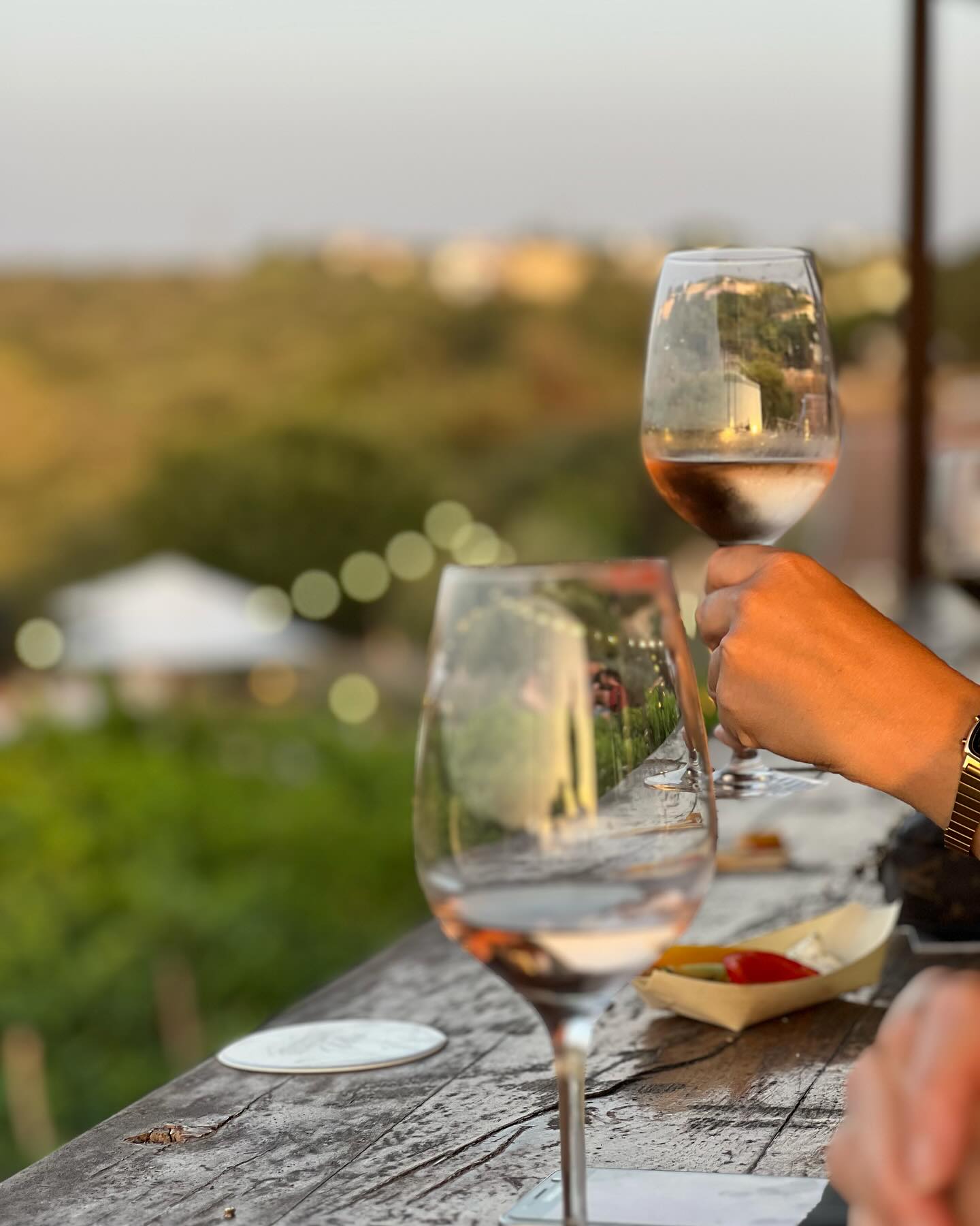 תמונה מהיקב