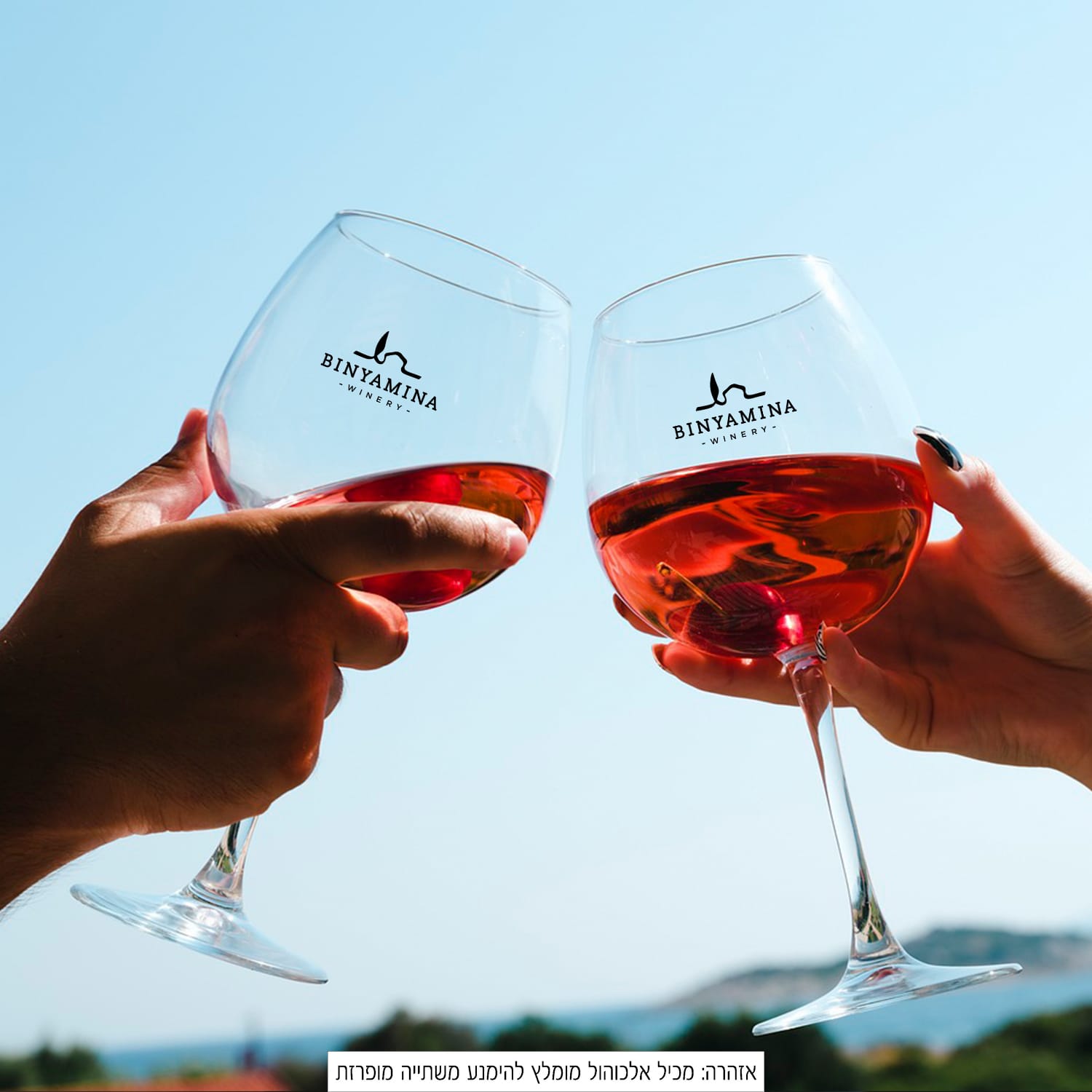 תמונה מהיקב