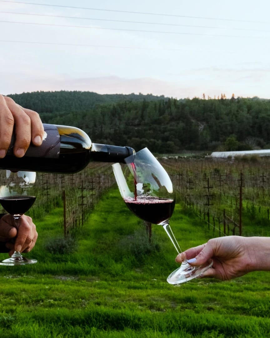 תמונה מהיקב