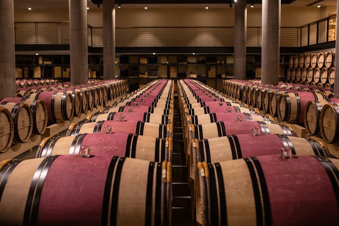 תמונה מהיקב