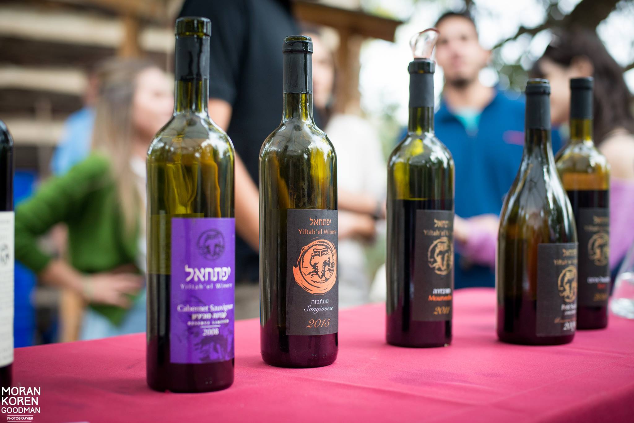 תמונה מהיקב