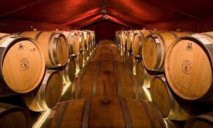 תמונה מהיקב