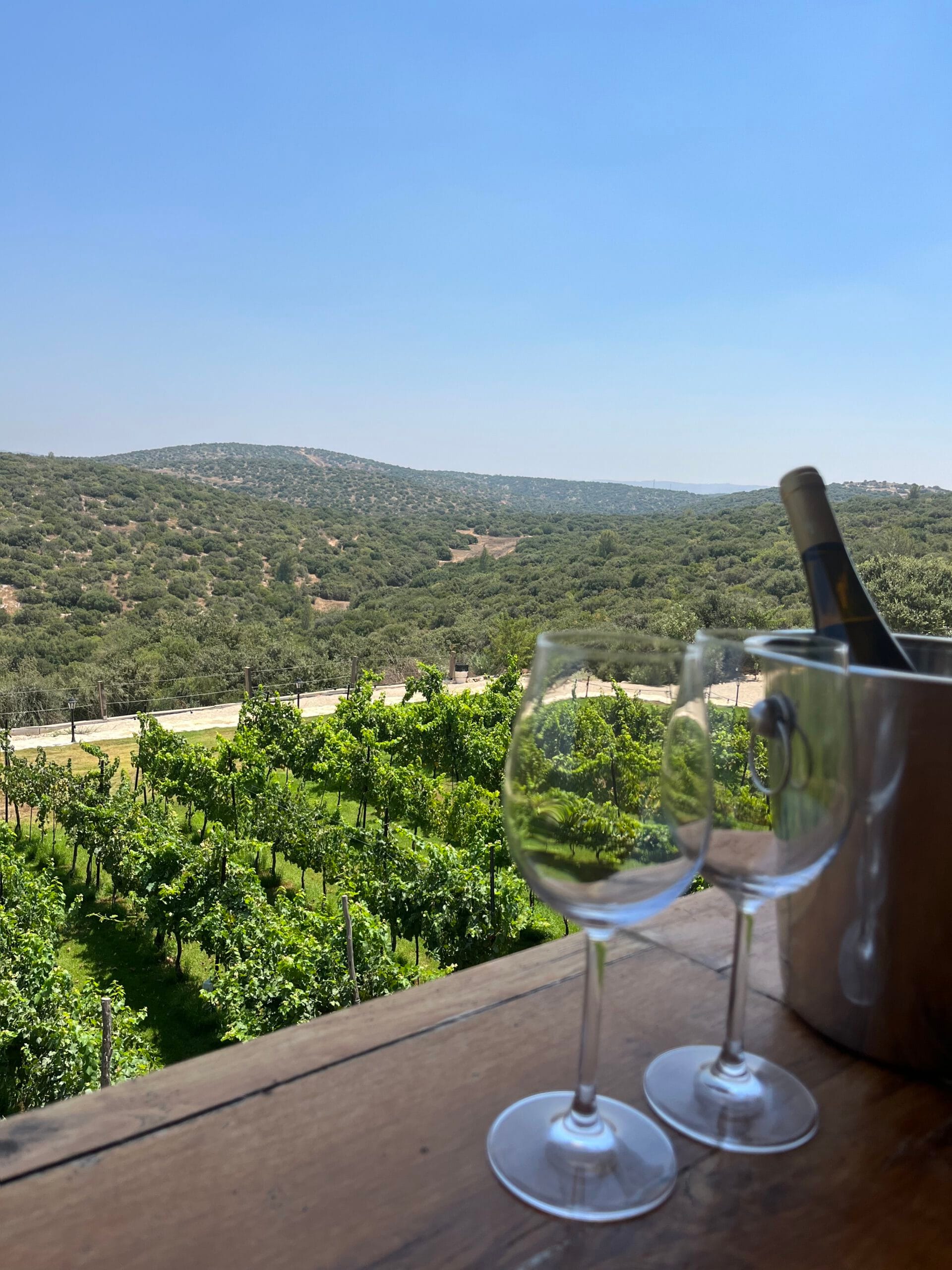 תמונה מהיקב