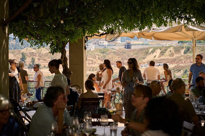 תמונה מהיקב