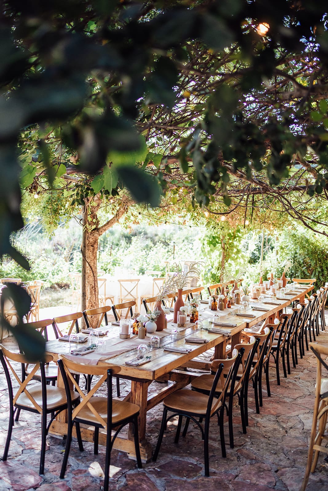 תמונה מהיקב