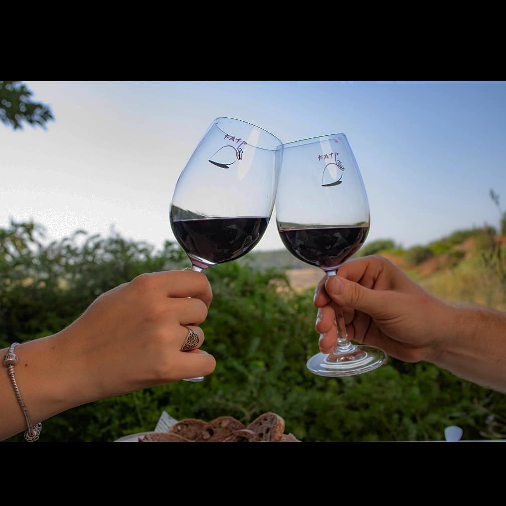 תמונה מהיקב