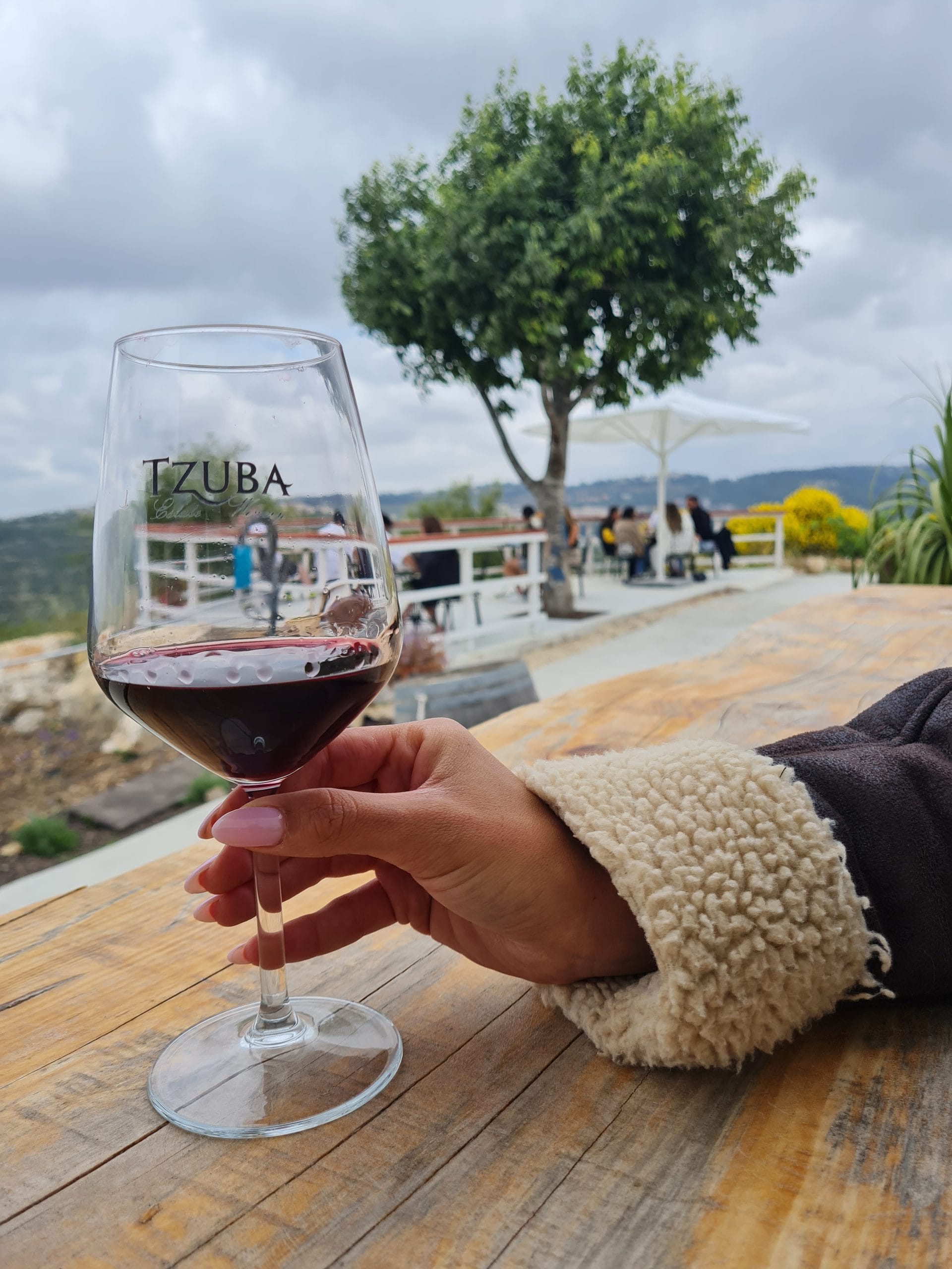 תמונה מהיקב